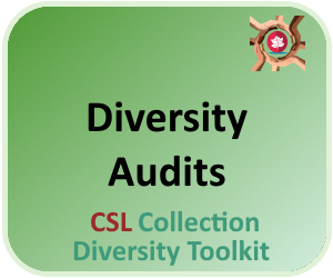 Diversity Audits